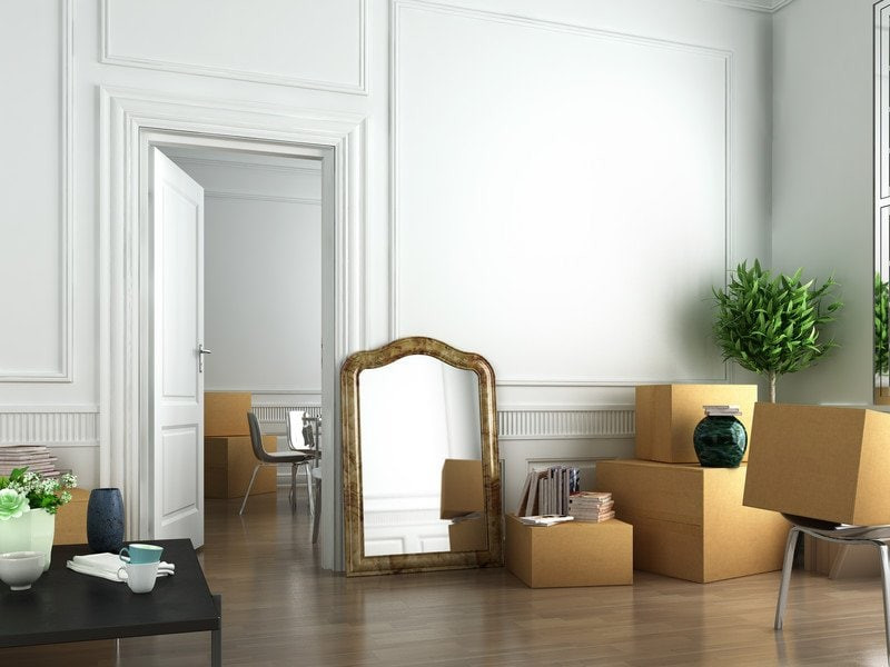 canstockphoto6009263